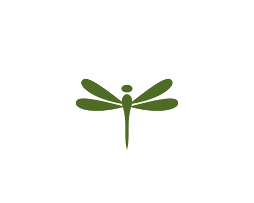 The Dragonfly Nest LLC